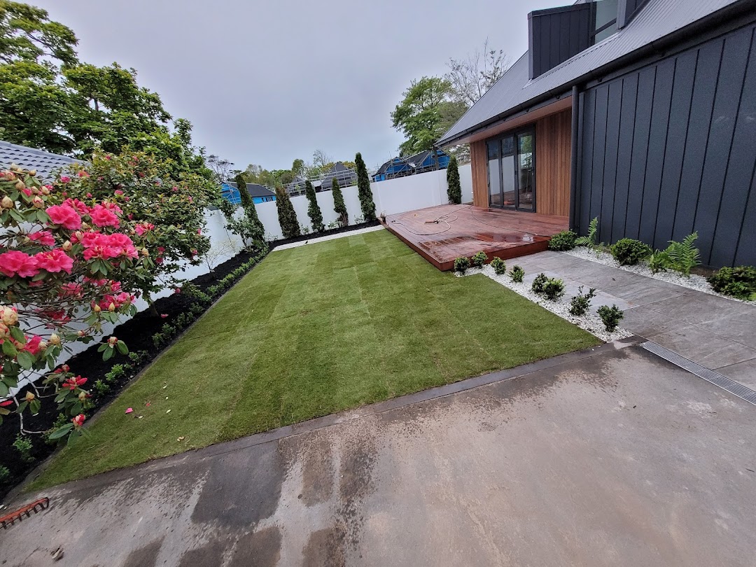 Budget Landscaping