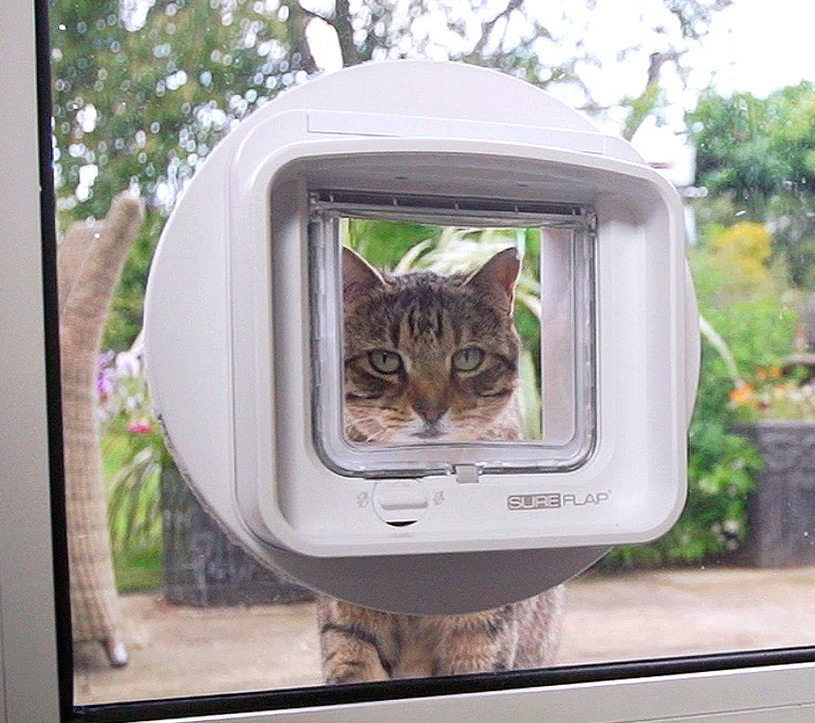 Pet Doors R Us – the Back Door Cat Door Man Limited