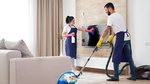 Cleaning Doctor