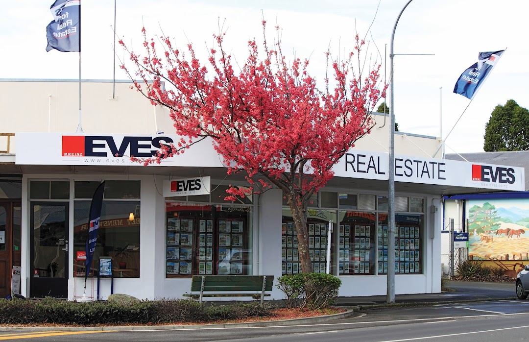 EVES Real Estate Katikati
