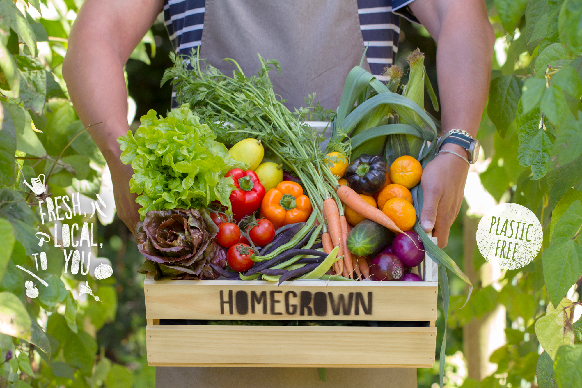 Homegrown – Vegetable Delivery