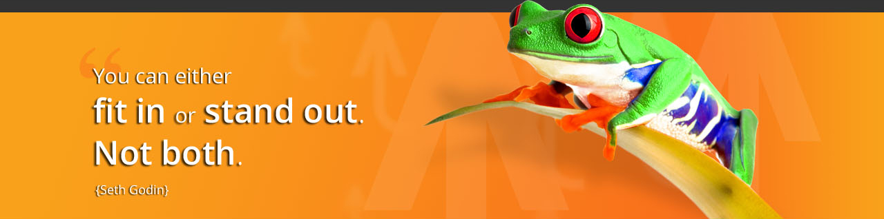 Evolve Marketing Ltd