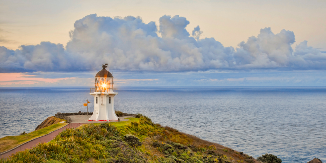PIC Insurance Brokers Tauranga