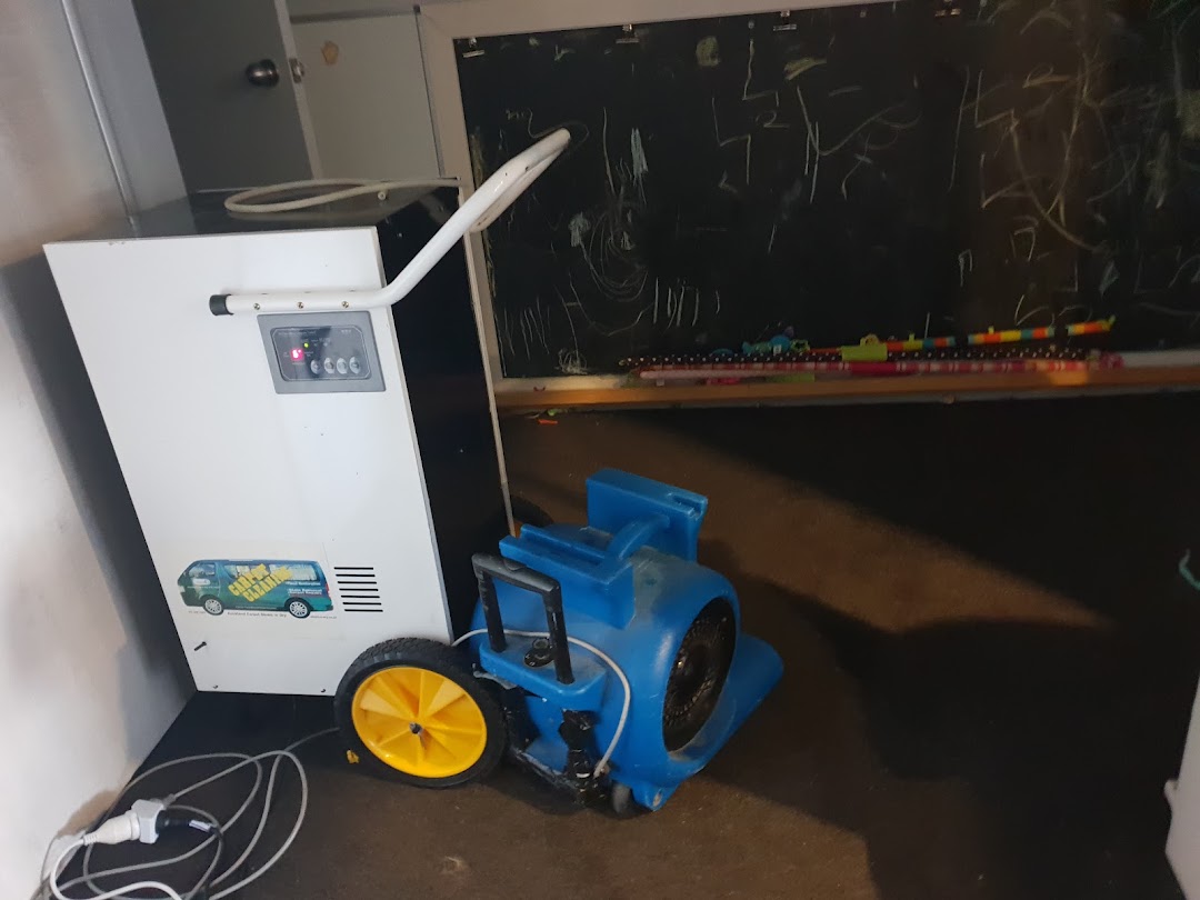 Flood Carpet Drying Auckland Ltd