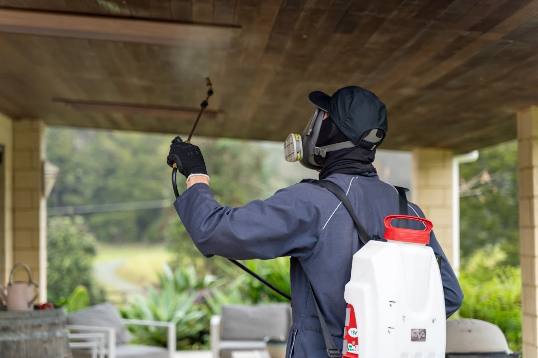 Auckland Pest Management