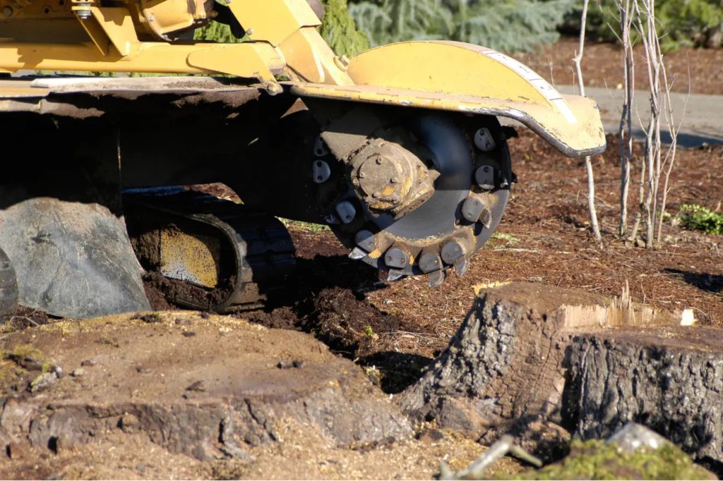 Stump Grinding Auckland