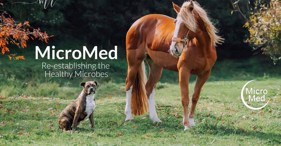 MicroMed