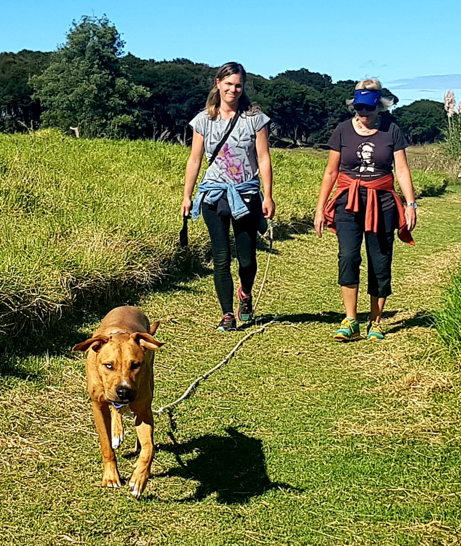 Pawsitive Steps Dog Training