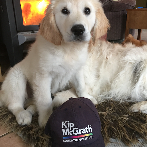 Kip McGrath Dunedin Tutoring
