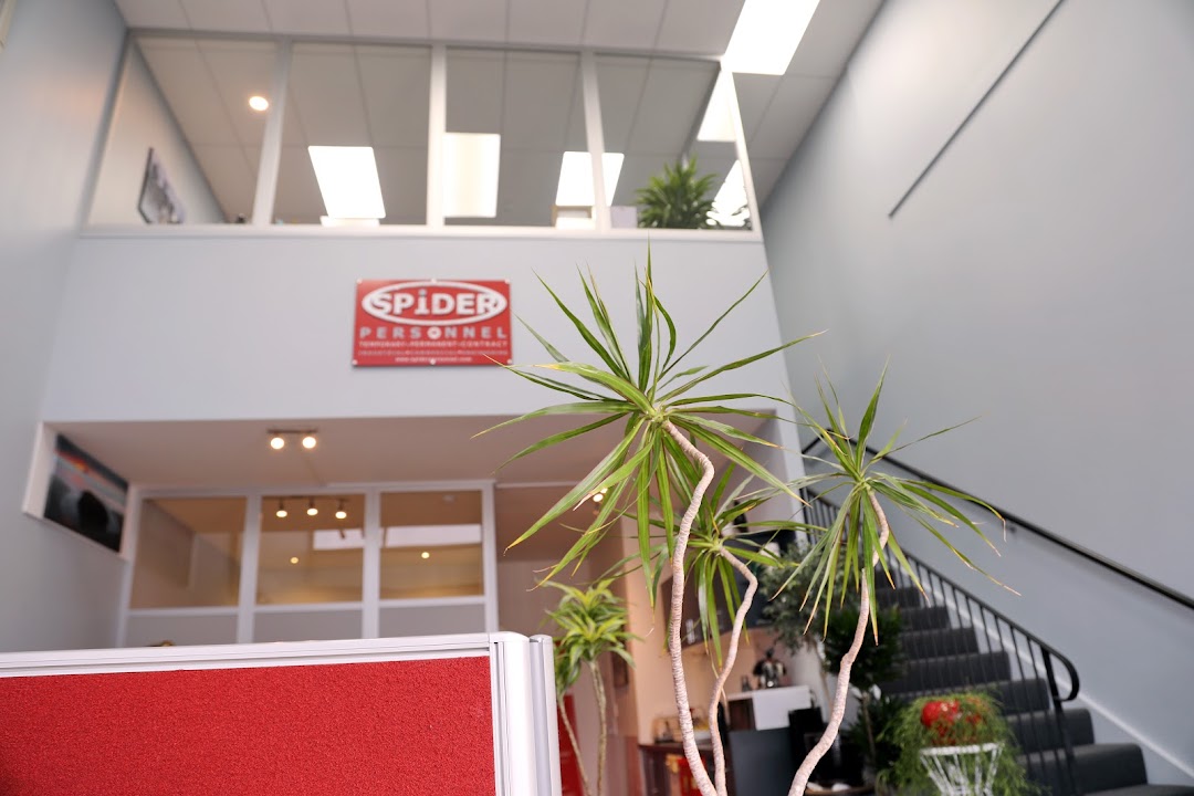 Recruitment Agencies, Labour Hire Auckland | SPIDER PERSONNEL LTD