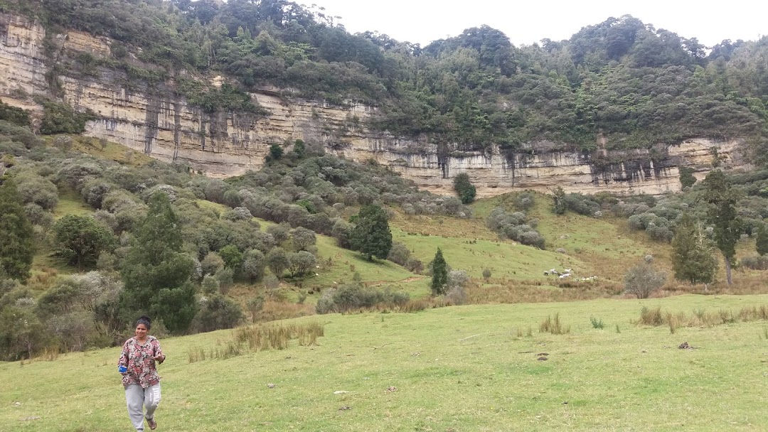 Eastern Taranaki Experience