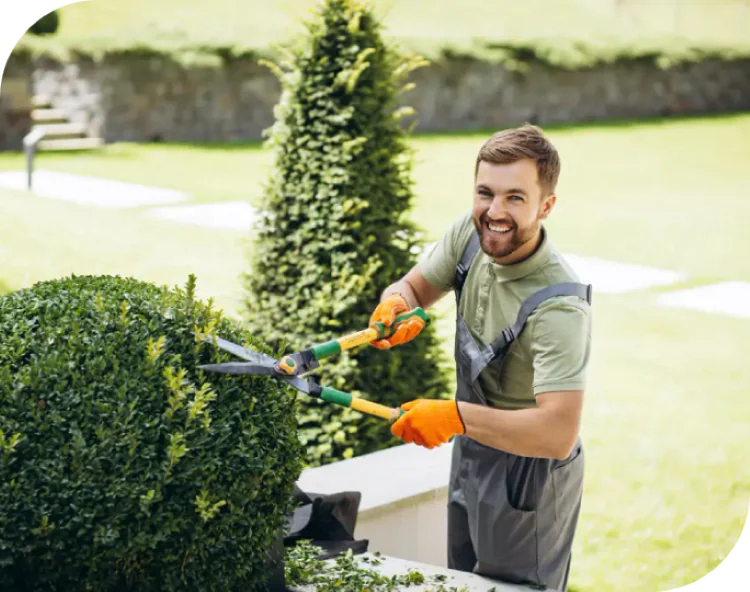 All Season Property Care