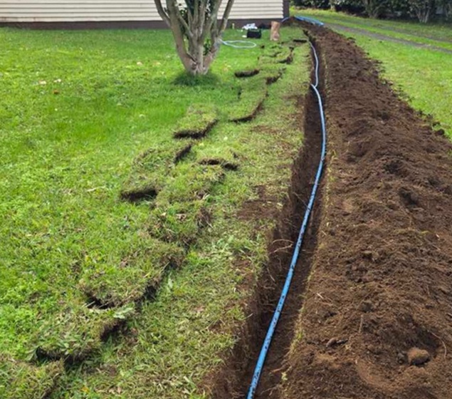 Your Local Leak Detection