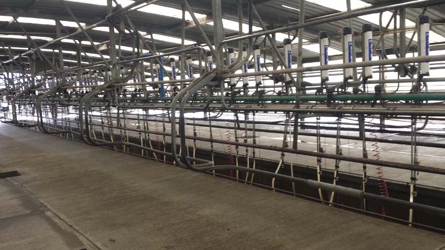 Slide 6
