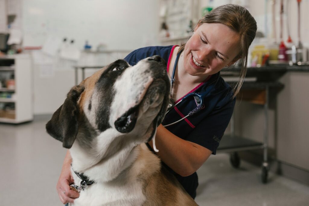 Levin and Horowhenua Veterinary Centre