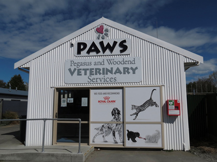 PAWS Vets