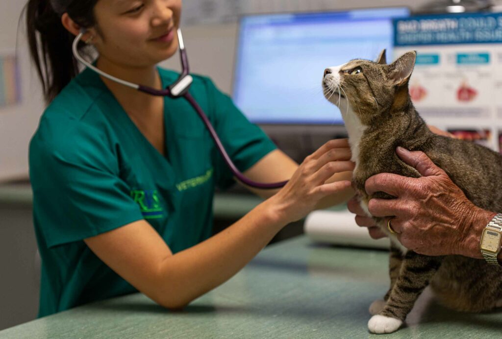 Southern Rangitikei Veterinary Services