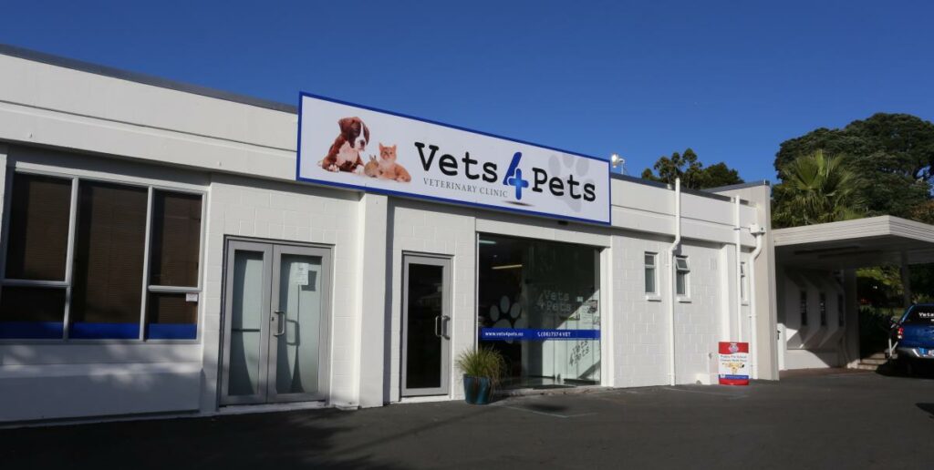 Vets4Pets