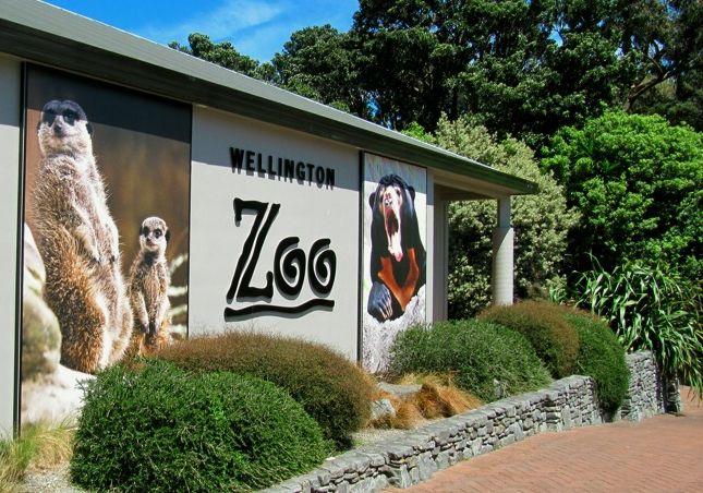 Wellington Zoo