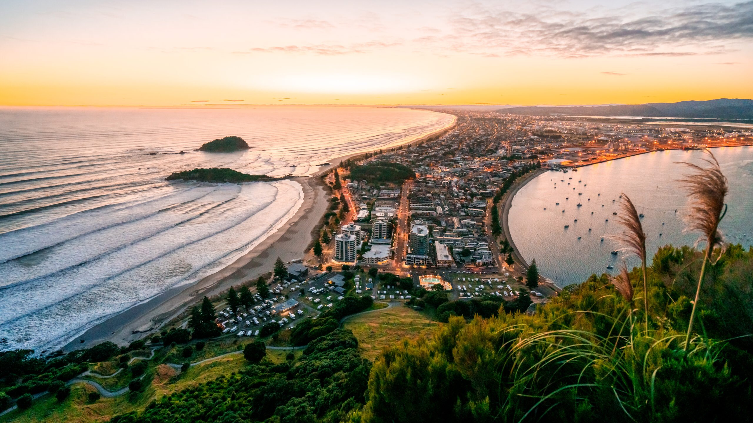 Bay of Plenty