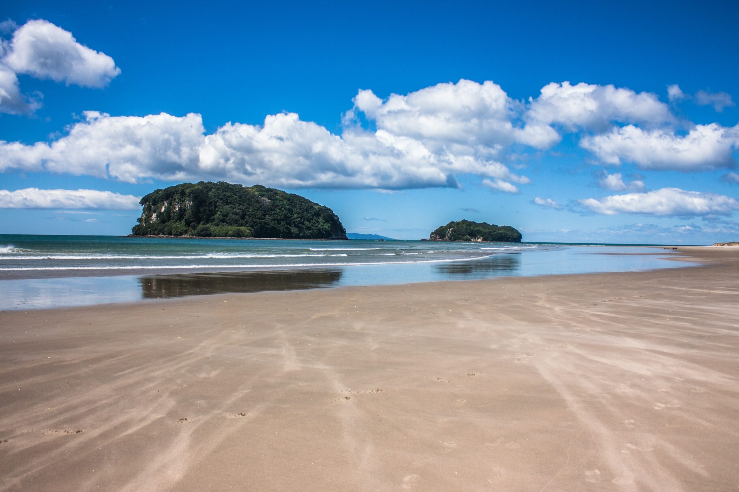 Whangamatā