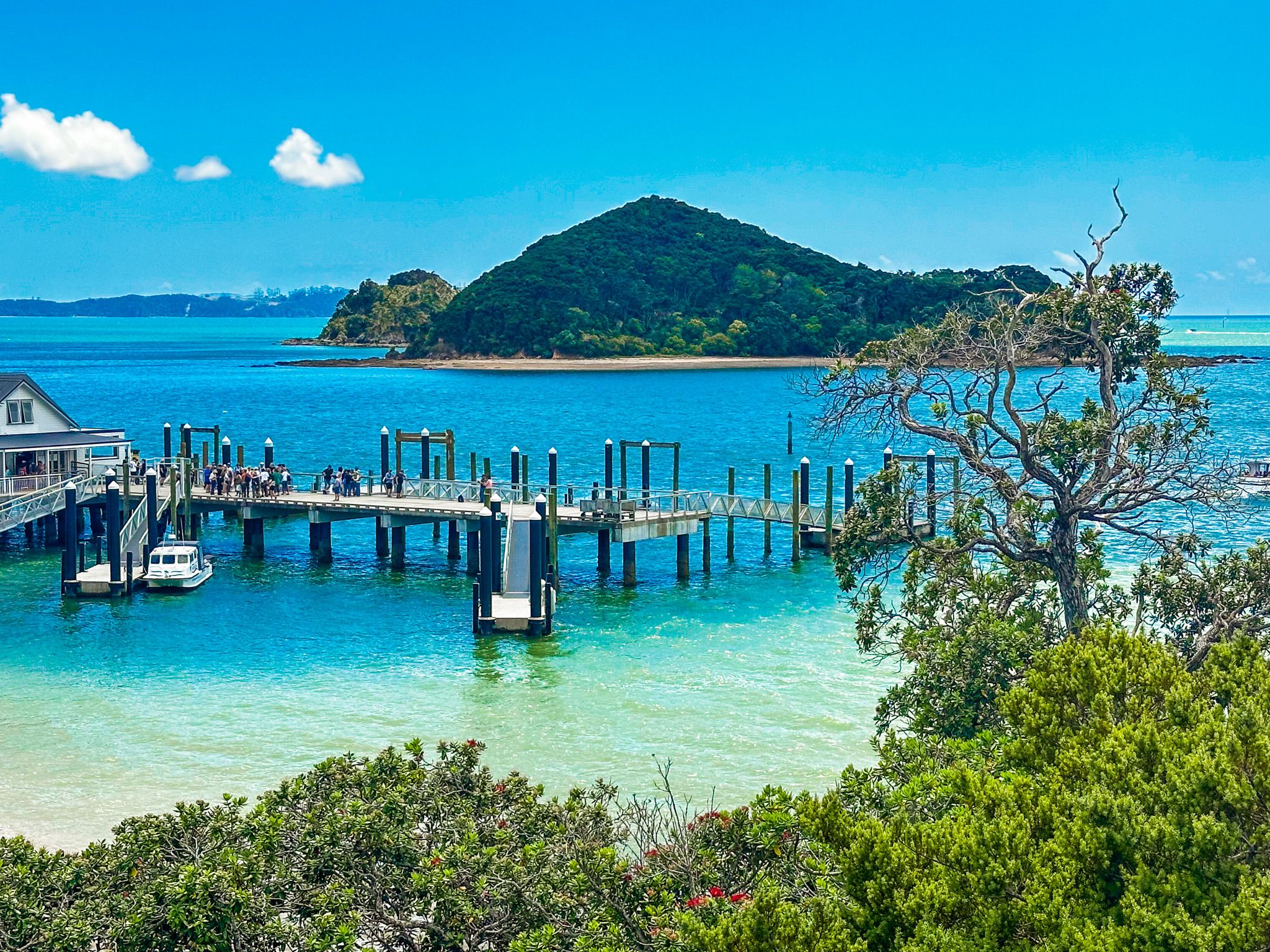 Paihia