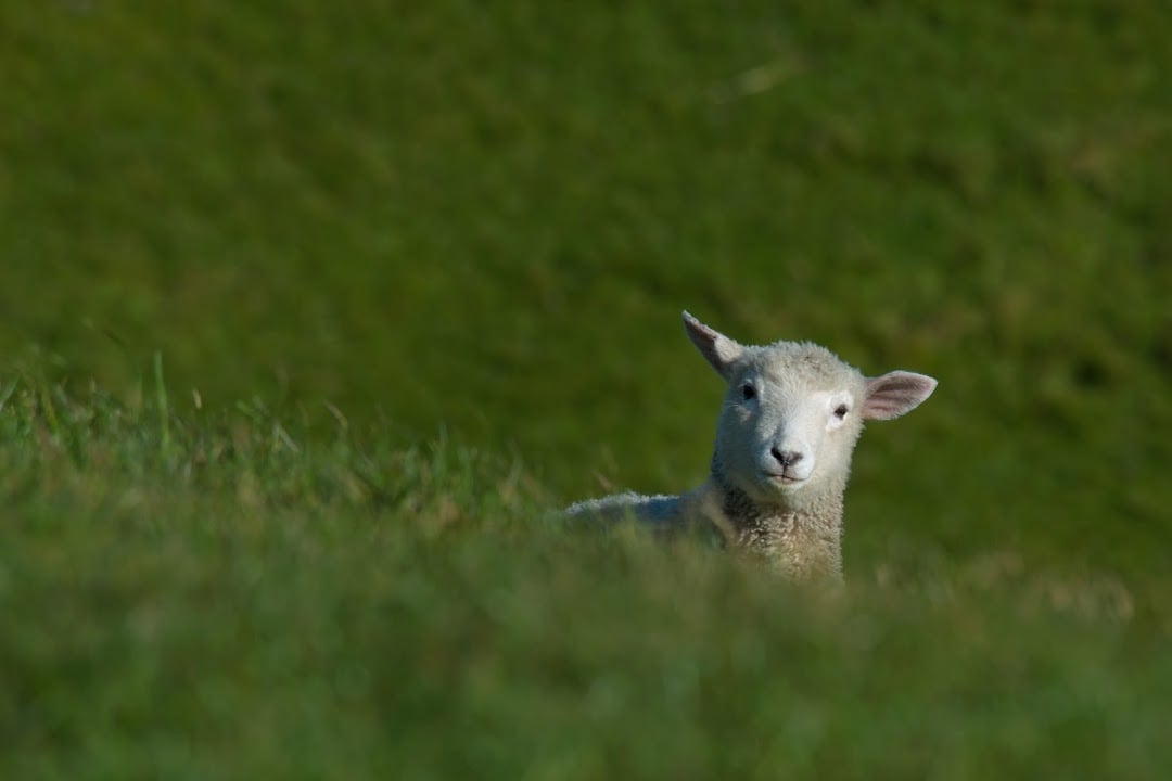 Slide 5