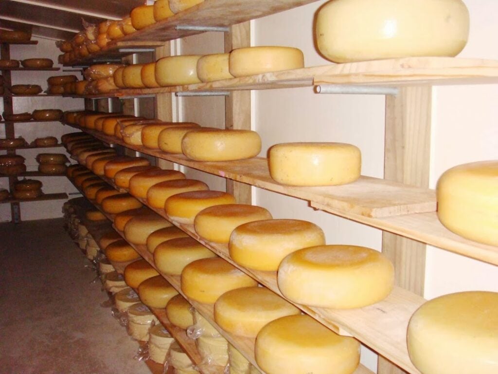 The Cheese Barn at Matatoki