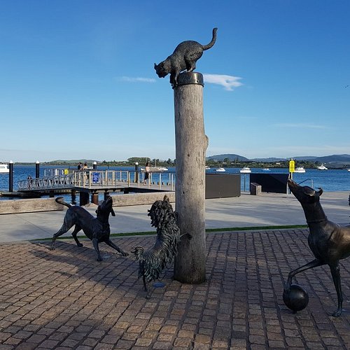 Tauranga
