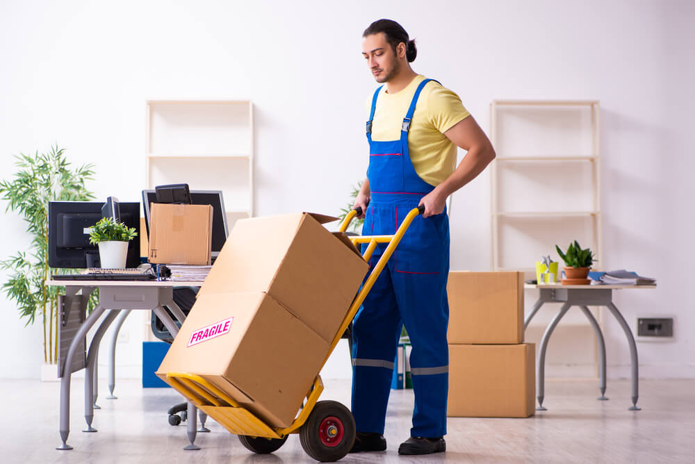 Auckland Movers Packers