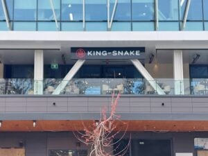 King of Snake