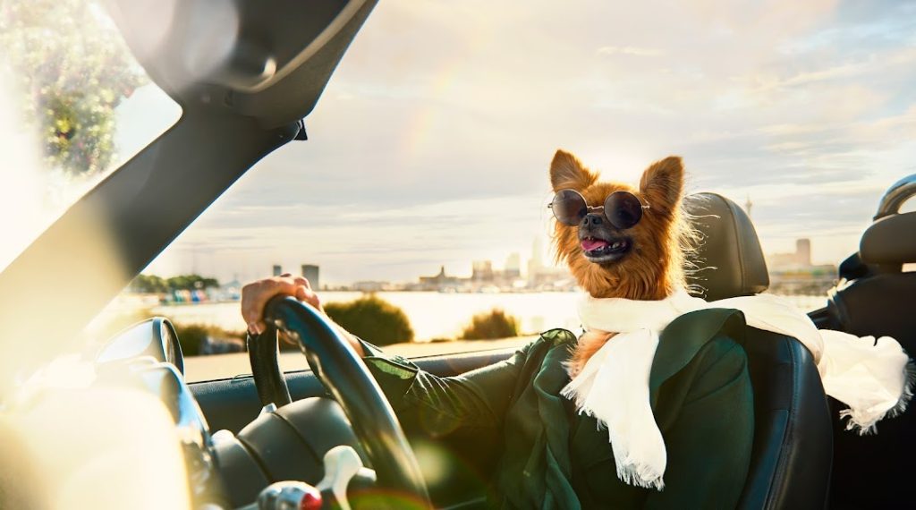 Go Car Finance