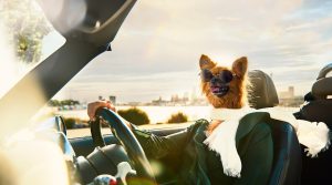 Go Car Finance