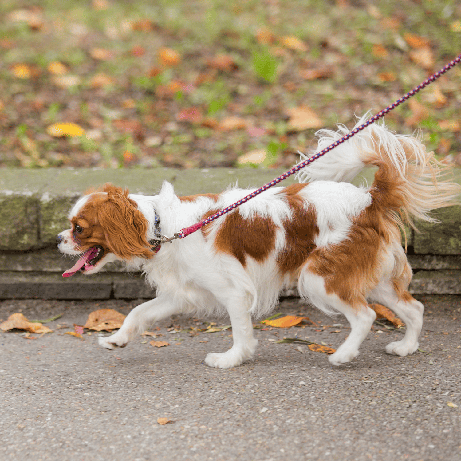 Slide 4