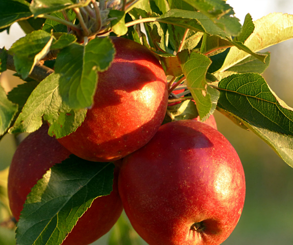 Slide 5