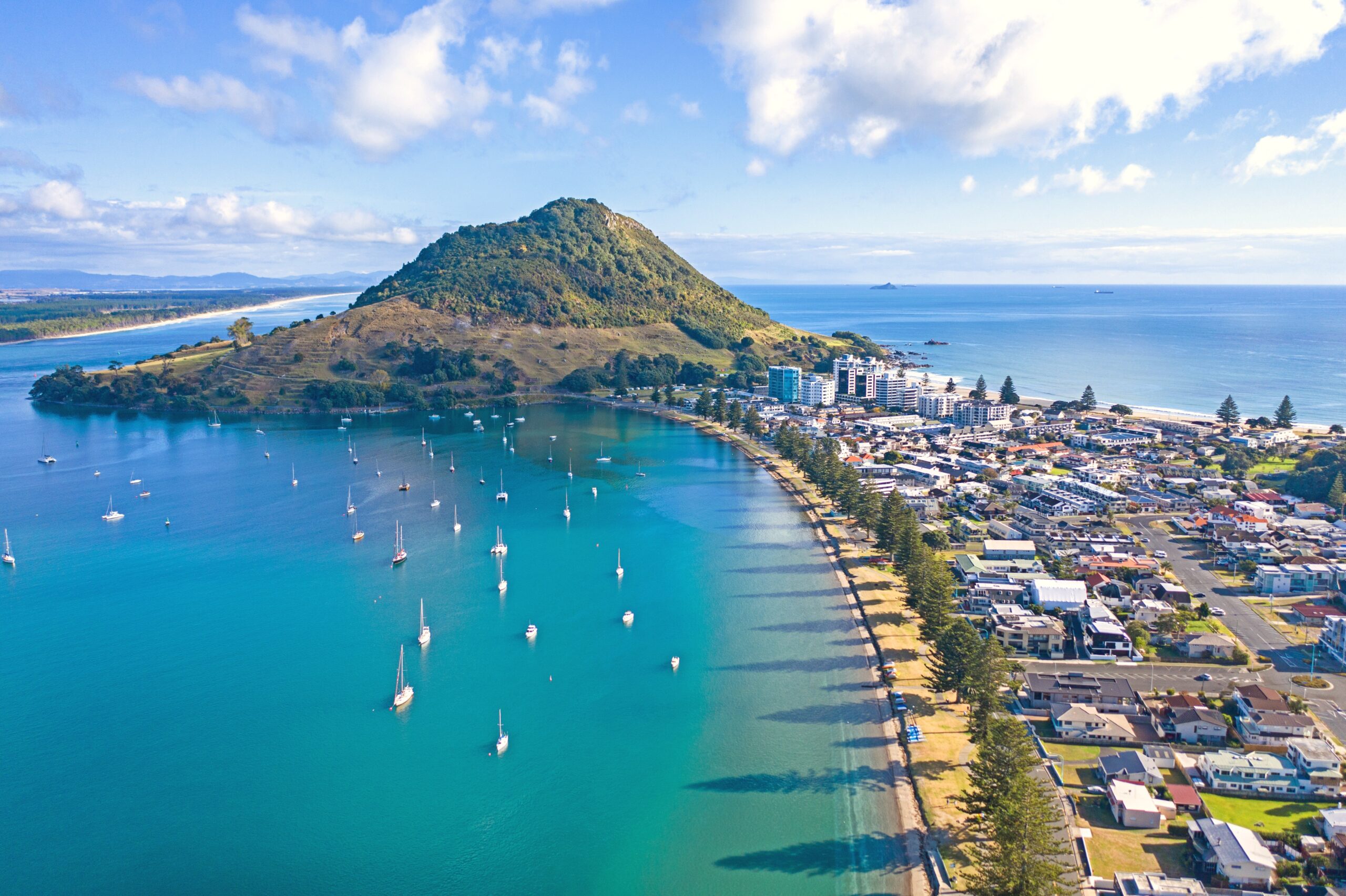Bay of Plenty