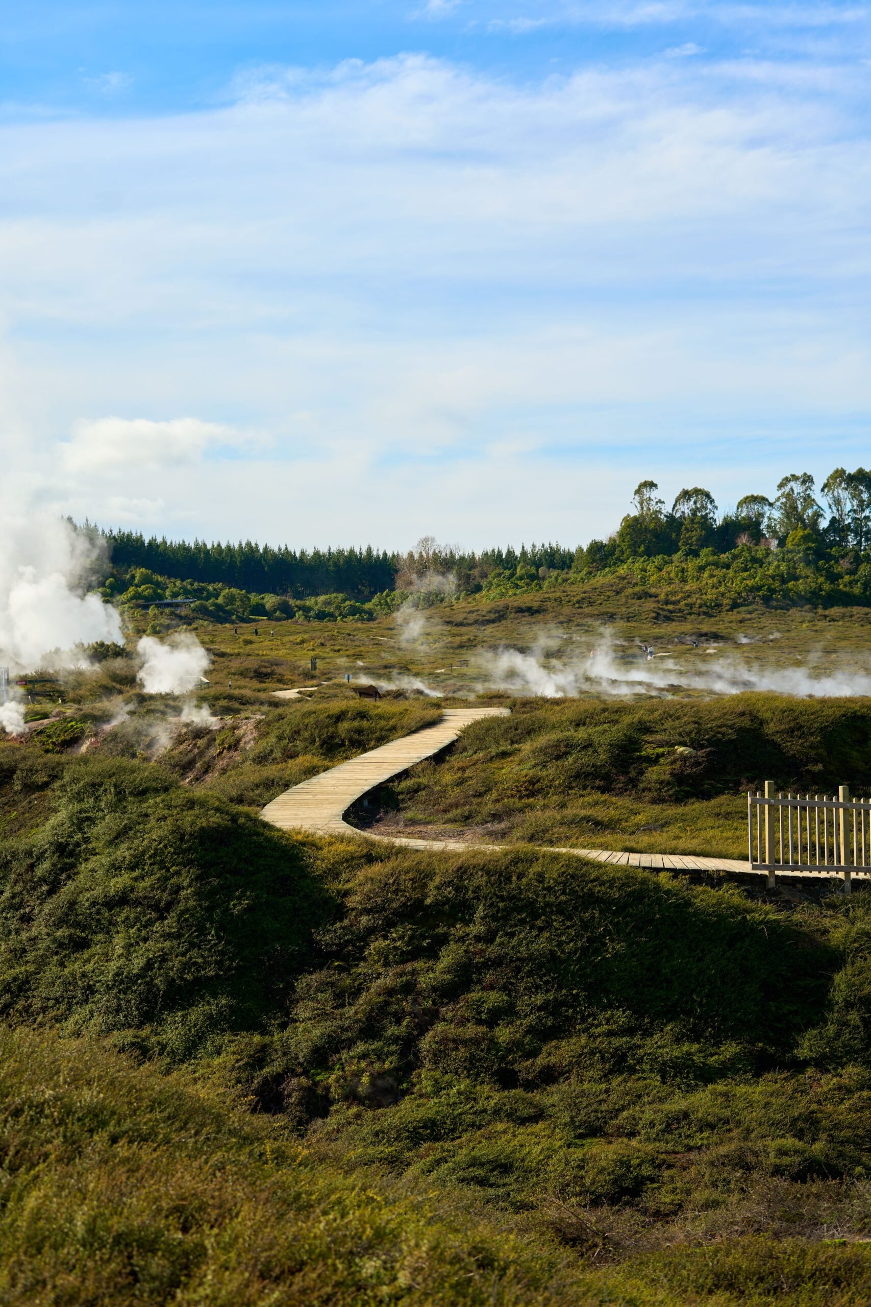 Bay of Plenty